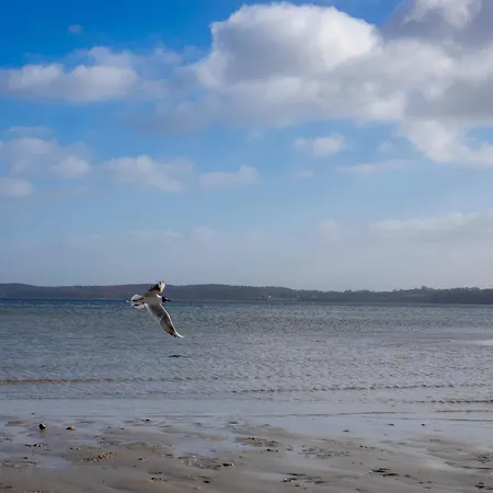 Holiday home Horizont Kobbelluck